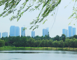 2012年度江苏省13市经济总量排名--镇江名列人