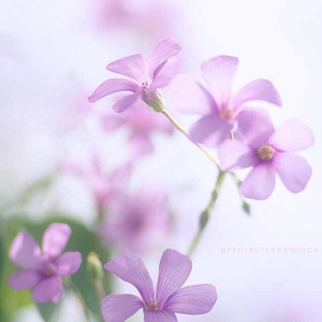 美女们、<em>哪里弄头发</em>比较好呢、求推荐 - 女性天