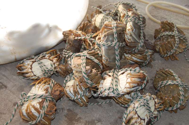 锐度<em>女犯</em>上绳视频访谈之捆绳模电影图片,锐度