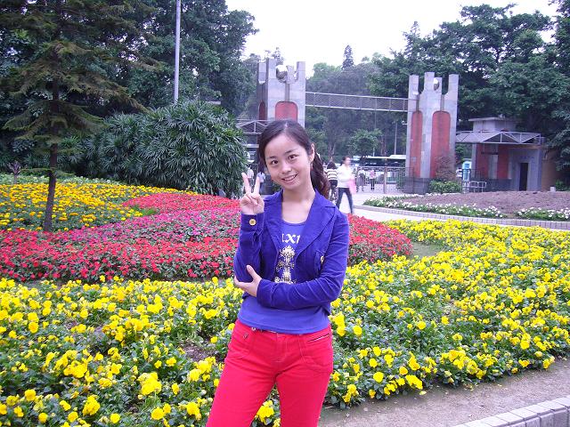 P88 09春节香港两日游 \/泰国自由行攻略73页上