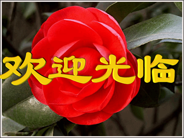 谢谢你朋友圈!_表情大全