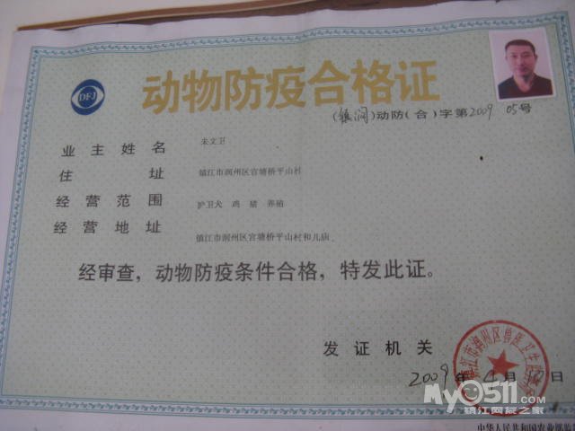 镇江唯一的公安工商农林局注册犬舍 - 宠物交易