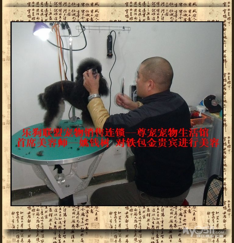 尊宠泰迪生活馆-CKU<em>美容师</em>资格认证B级 C级