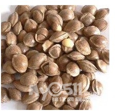 团各种休闲食品 碧根果 鲍鱼果 圣女果 榛仁 购