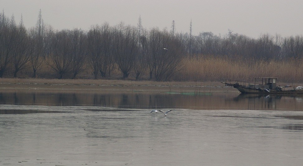 海门观日 - 镜头里的镇江 - 梦溪论坛 镇江,时事