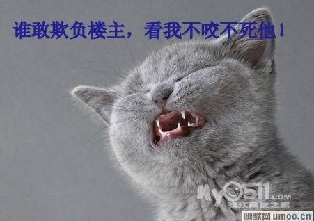 可爱猫咪们的 搞笑图片  新人报道 希望大家多多