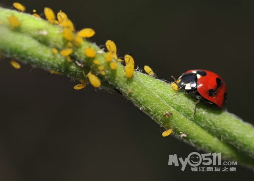 给力2011 金宝园 Bee-B班--新的开始,快乐的B