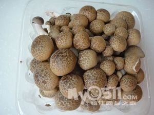 菌菇海鲜汤_菌菇_菌菇蔬菜拼盘