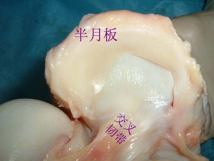 ---三五九骨科脊柱外科---第三诊室 - 寻医问药 -