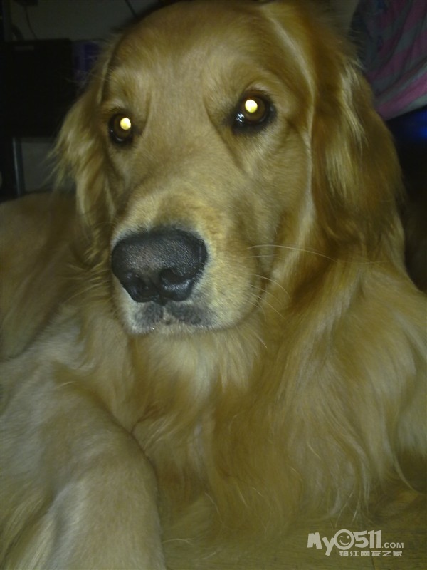 无奈 家有宝贝老被老太骂 心里很不爽怎么办 -