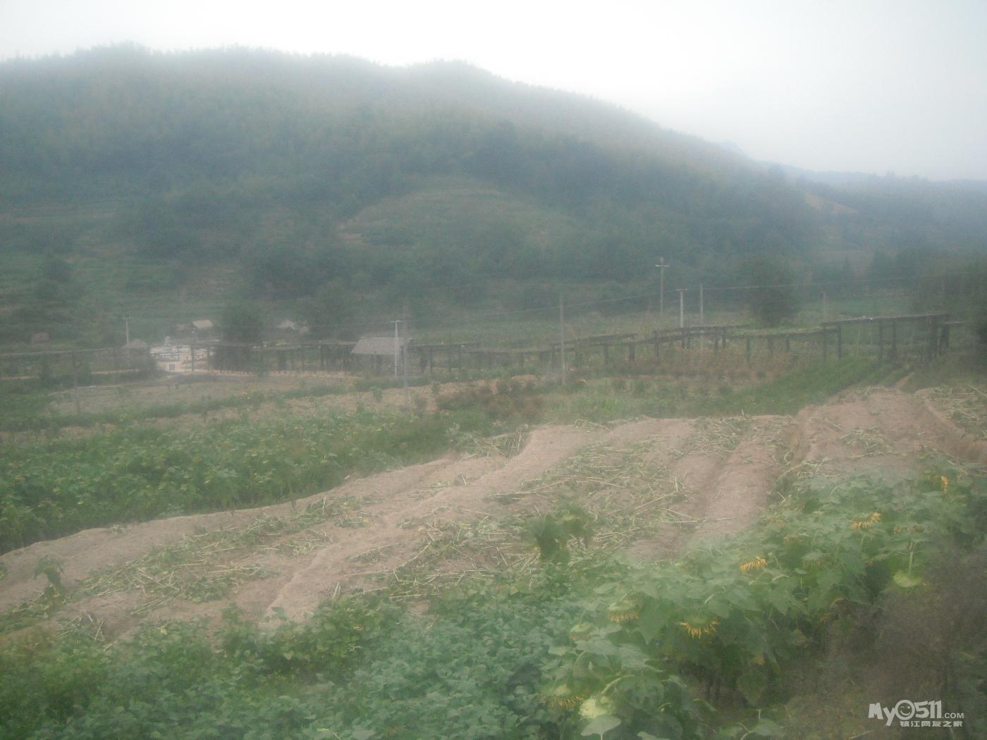 迟来照片-镇江绵羊车友会高淳螃蟹娅溪慢城平