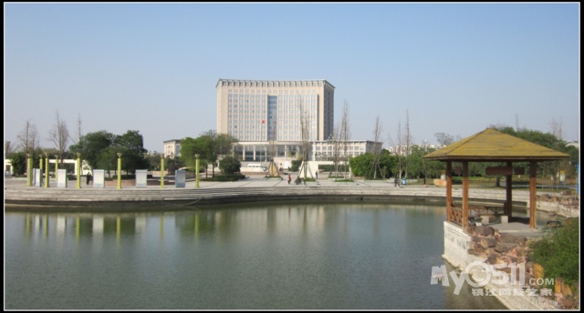 泰兴银杏公园之旅 - 镇江单车俱乐部 - 梦溪论坛