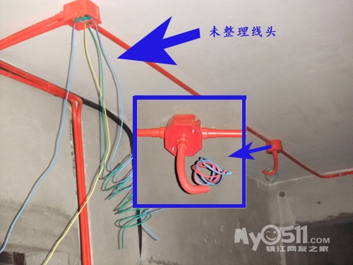 小顶顶_小鸡小鸡_小顶顶收入(2)