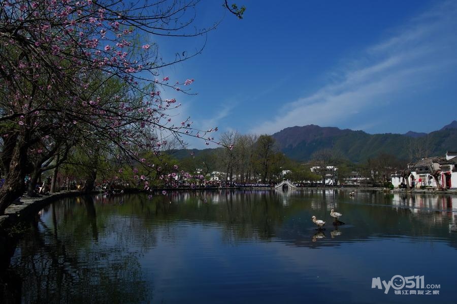 何绍伟《春到宏村》