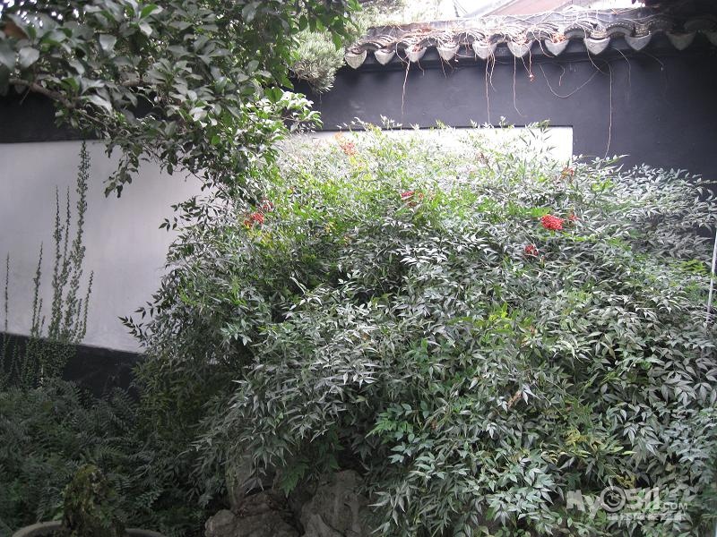 游记 无锡惠山古镇 - 镇江市冬泳协会 - 梦溪论坛