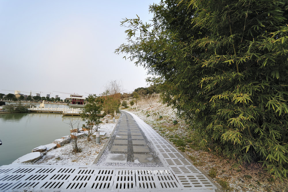 也发2012年的第一场雪--银雪 - 镜头里的镇江 -