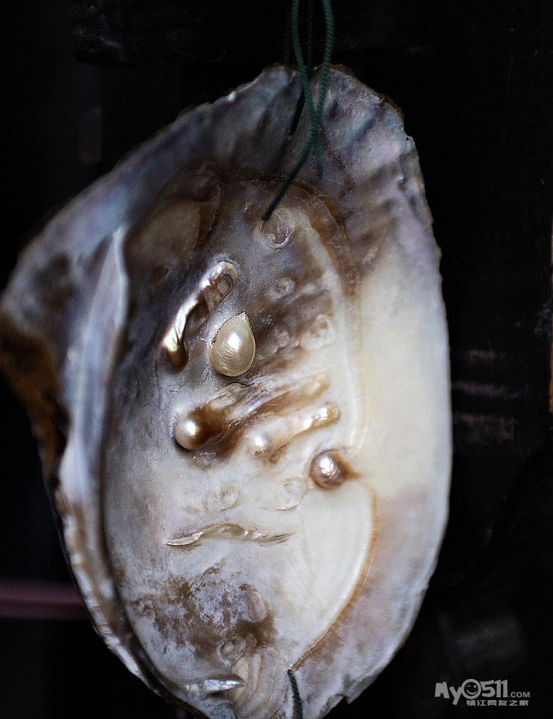 春游苏州系列--七里山塘街 - 人到中年 - 梦溪论