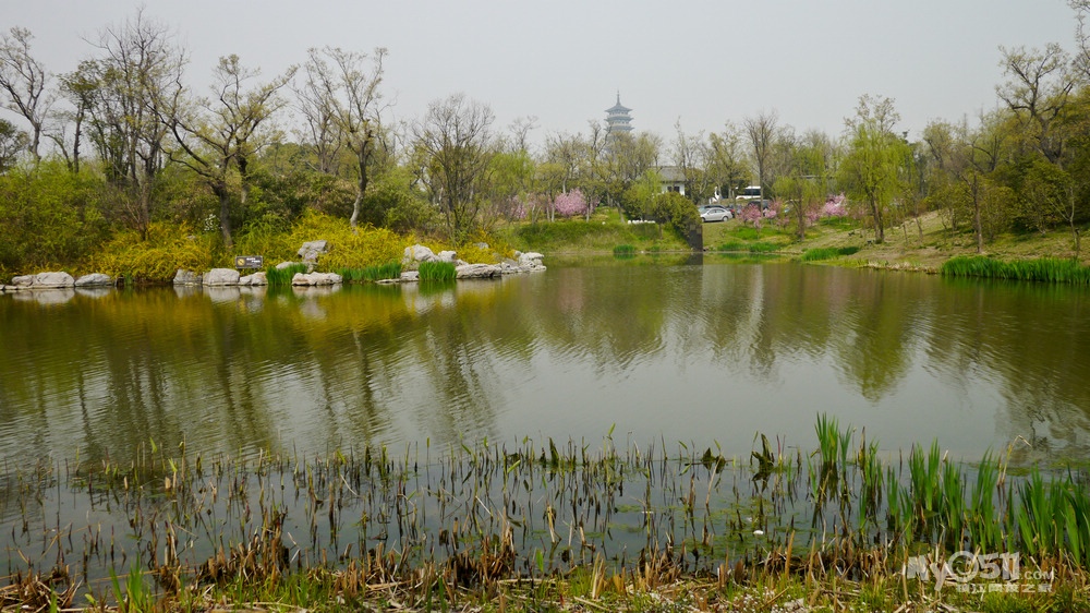 绿野骑踪一一京口瓜洲一水间钟山只隔数重山 