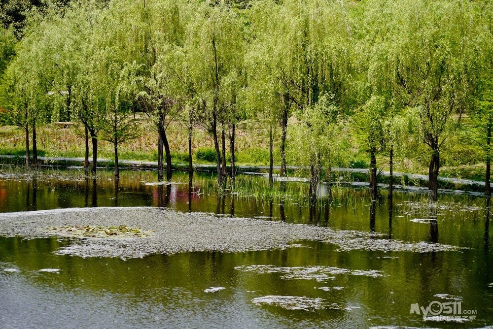 绿野骑踪一一京口瓜洲一水间钟山只隔数重山 