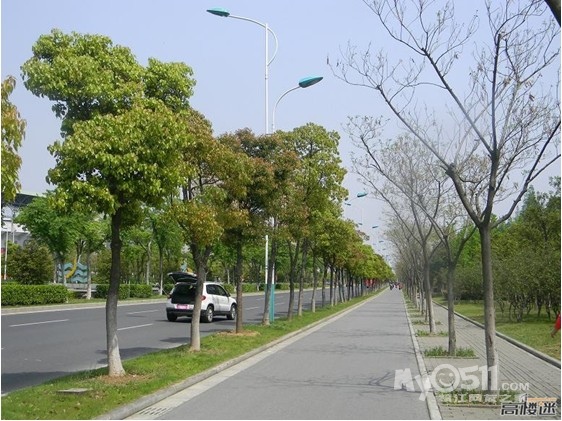 江苏 苏南城市 无锡市的 城市细节 绿化 与 道路