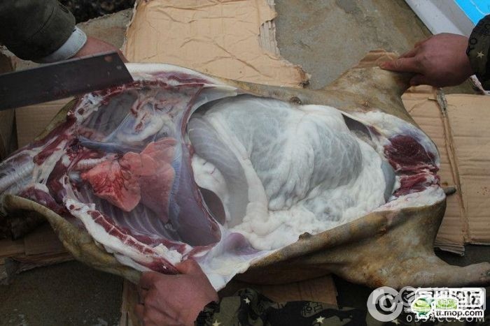 重口味羊<em>瘪</em>汤,胃肠不适者禁入 - 饮食男女 - 梦溪