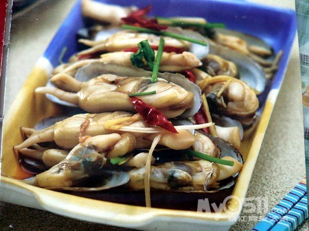 镇江到山东日照海边自驾游线路,日照海滨森林