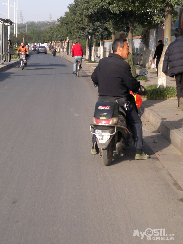 学府路的树木怎么了 - 百姓话题 - 梦溪论坛 镇江