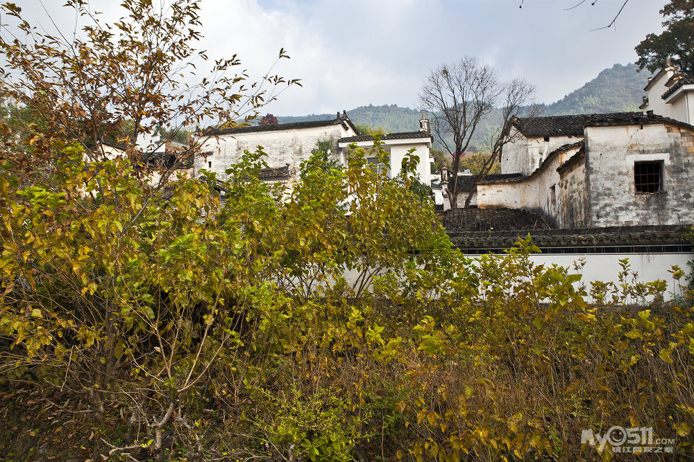 市外计划第五十三站:1塔川秋色2水墨宏村3协里