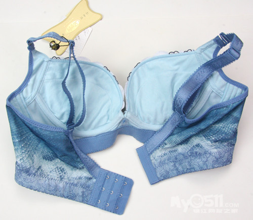 新款<em>黛芝蒂</em>调整型<em>文胸</em>团购,最新上市(11楼) - 血