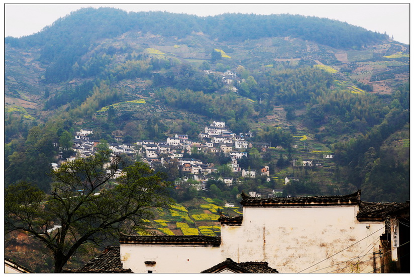 石潭、家朋、响水涧油菜花 - 视觉Coffeeshop摄