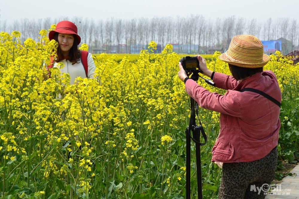 欢乐的兴化千岛菜花旅游节开幕式 - 快乐老家 