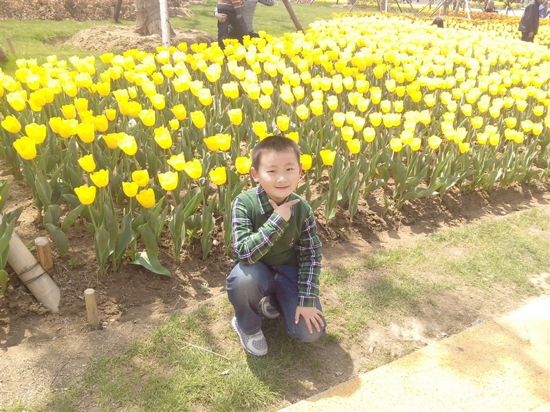 海报:长气球棒棒糖 长气球棒棒糖制作方法