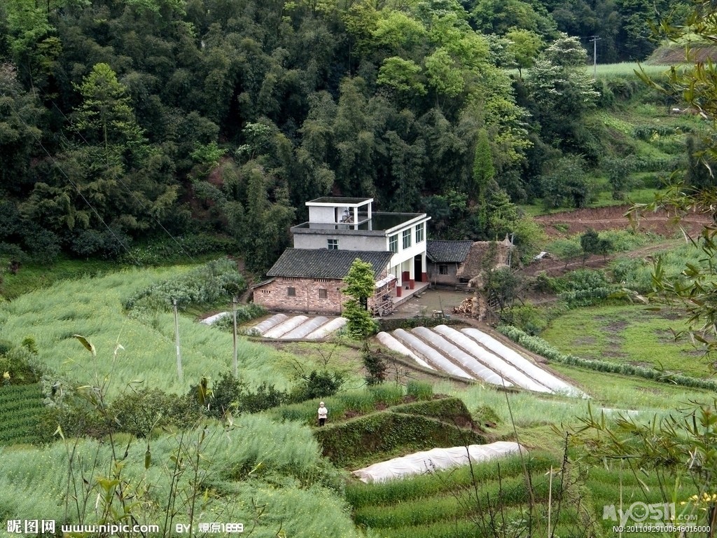 四川雅安市发生7.0级地震 地震共造成186人死