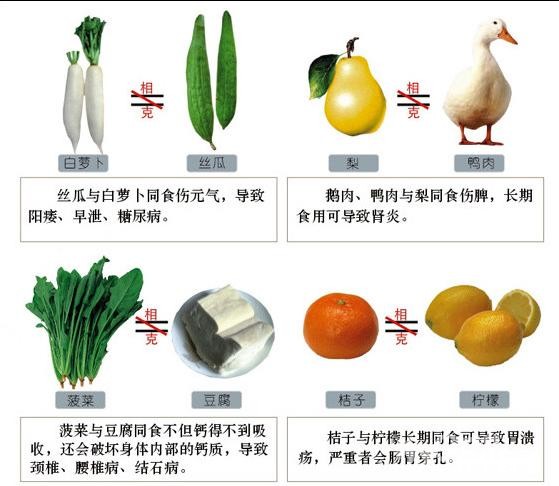 中药与食物相克禁忌 - 镇江知青 - 梦溪论坛 镇江