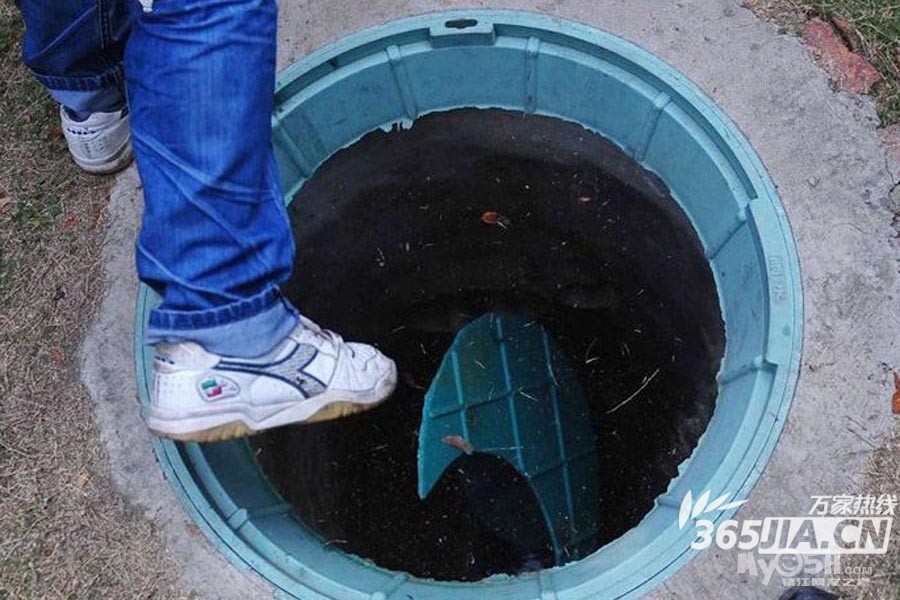 2013年2月-6月小班年级组安全课程精彩PP - 东