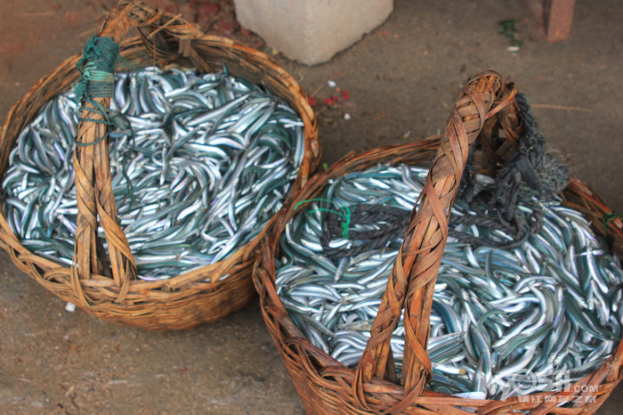 天热鸟,弄点海风吹吹 - 快乐老家 - 梦溪论坛 镇