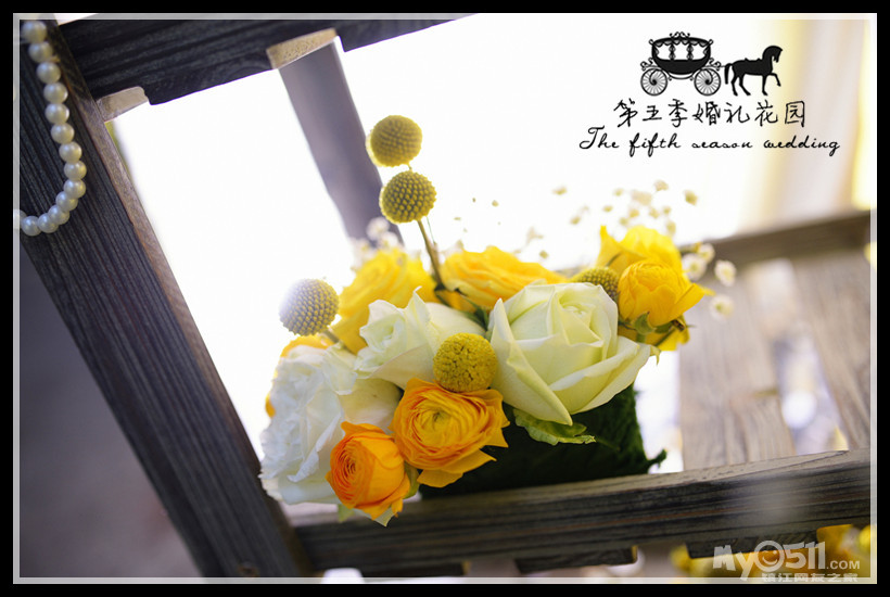 lemon tree陶笛谱