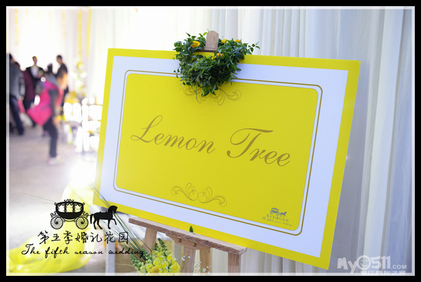 lemon tree钢琴五线谱
