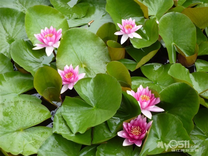 看这鬼斧神工的石〈山东<em>沂水</em>地下溶洞〉和微山