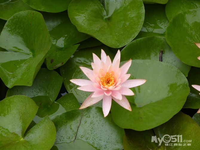 看这鬼斧神工的石〈山东<em>沂水</em>地下溶洞〉和微山