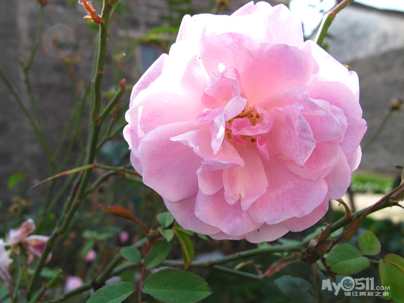 <em>ktv好唱的</em>歌_<em>ktv必点歌曲</em>_ktv<em>女生</em>容易唱的歌_