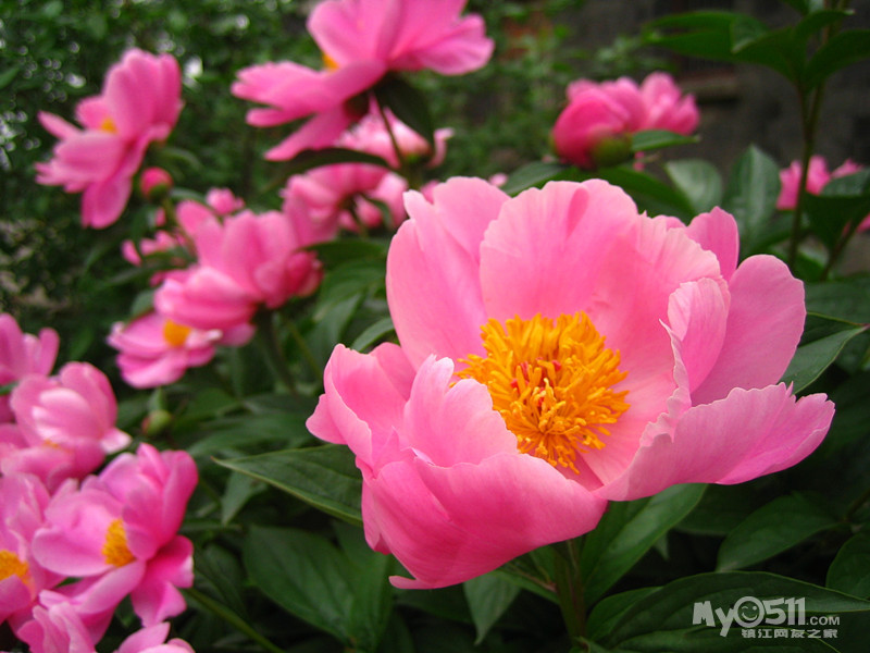 <em>ktv好唱的</em>歌_<em>ktv必点歌曲</em>_ktv<em>女生</em>容易唱的歌_