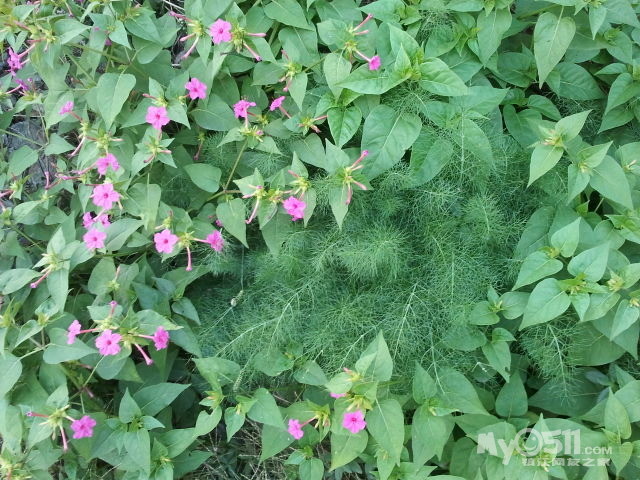 <em>ktv好唱的</em>歌_<em>ktv必点歌曲</em>_ktv<em>女生</em>容易唱的歌_