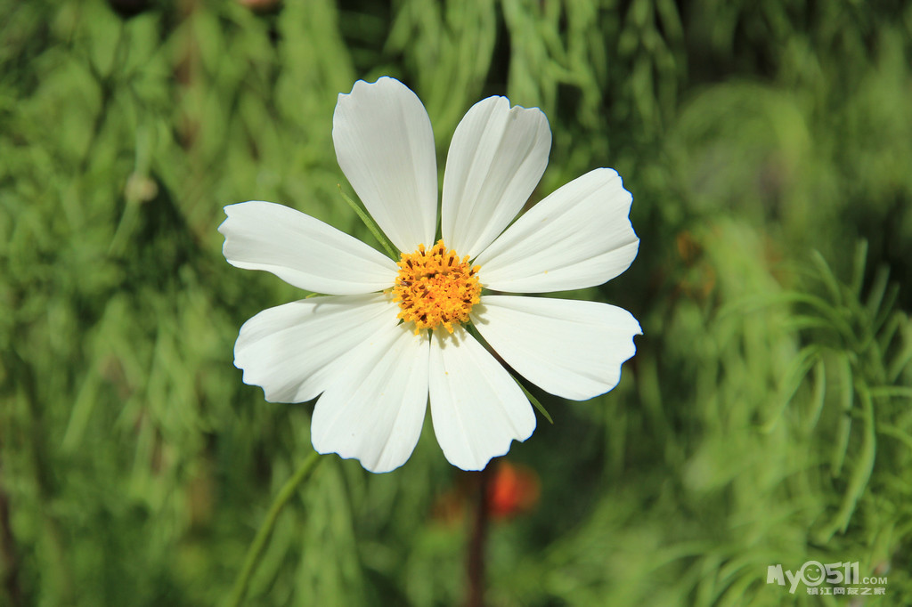 [我们爱旅行投稿] 不一样的2013 我和小伙伴的