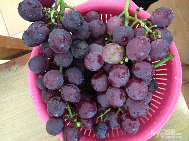 2013 夏天 丁庄巨峰葡萄,5块一斤,可试吃,买得