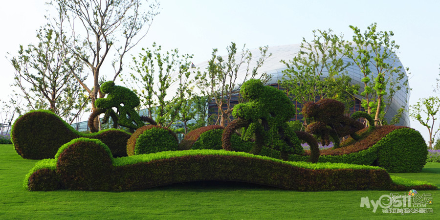 中国扬中,2013第八届江苏省园艺博览会 - 百姓