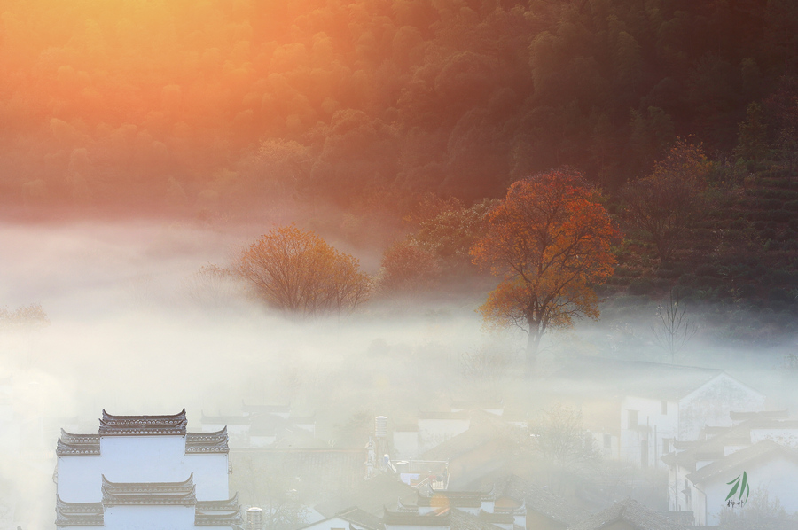 --烟雾飘渺漫石城 山环水绕围菊径-- - 镜头里的