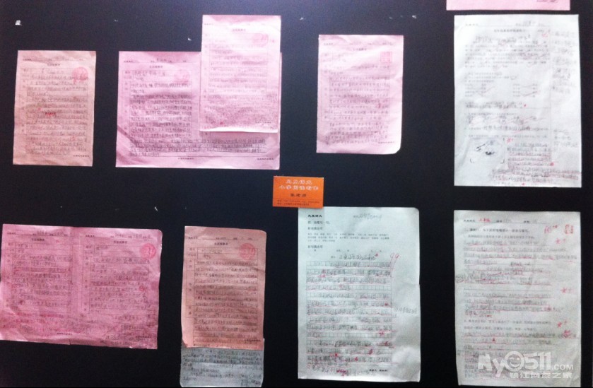 专业小学语文-凤凰语文--阅读、写作--新上图文