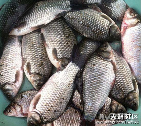 美媒:金正恩为罗德曼安排色情服务 - 百姓话题