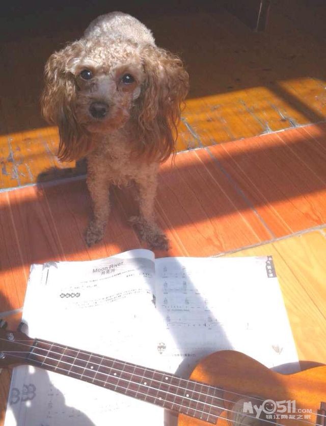 请大家帮我分析,第一次摔骨折第二次被车撞,内